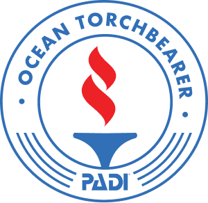 Padi Torchbearer